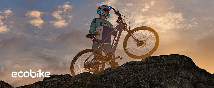 EcoBike EcoBike